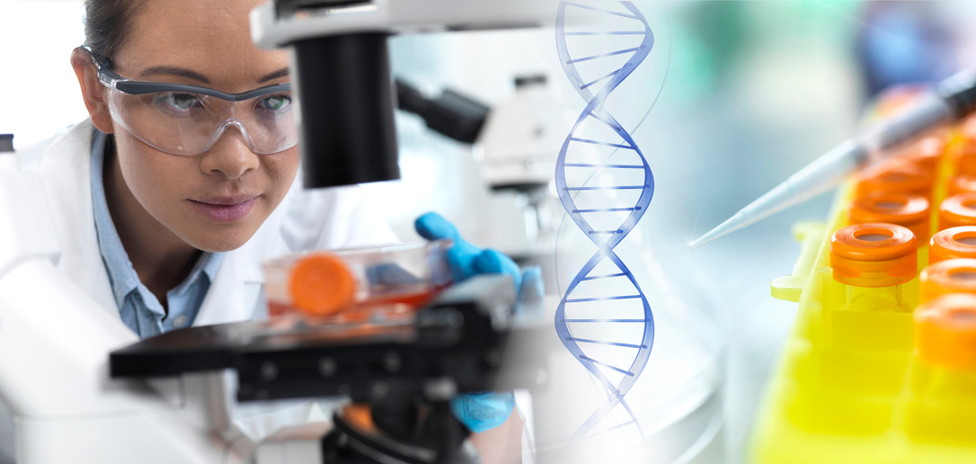 "Laboratory researcher using a light microscope to examine stem cells in a culture jar. At right are a pipette