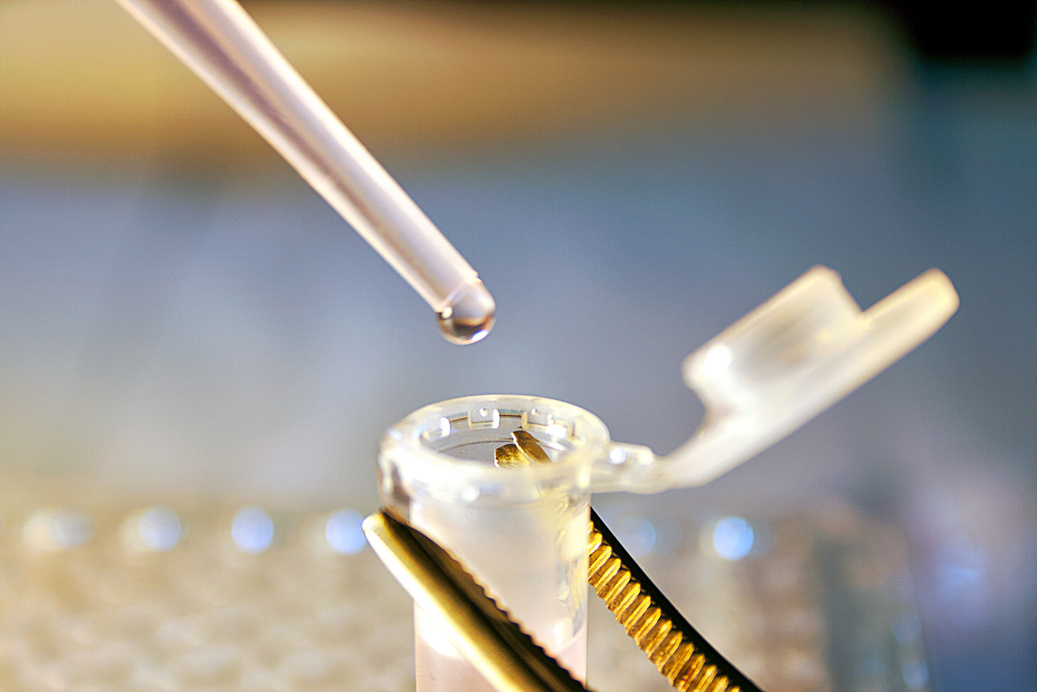 Stem Cell research
